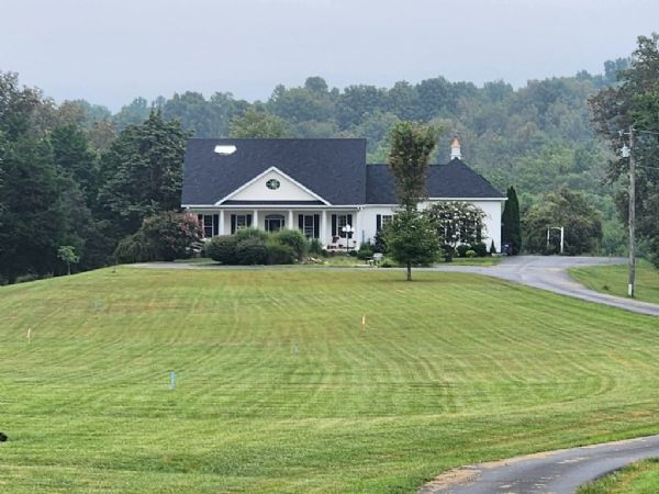 Lewis Auction